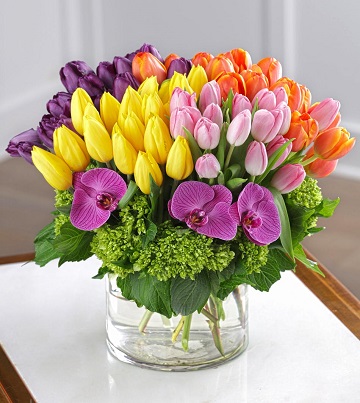 Tulip Frenzy Bouquet